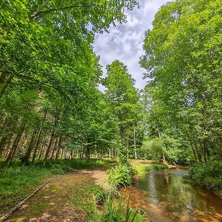 En Plain'nature בית נופש Bionville